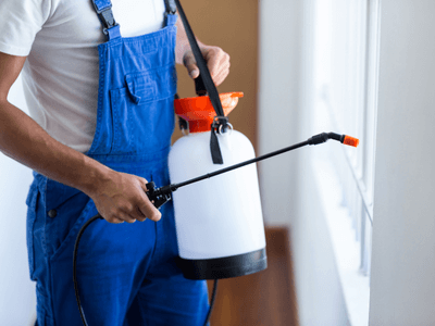 About Mice Removal North Mountain - mice removal experts in North Mountain