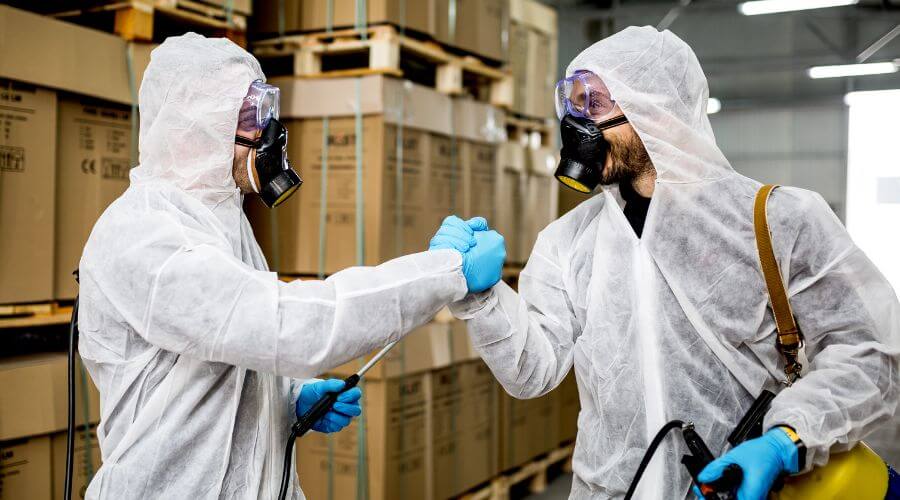 Why choose Mice Removal North Mountain for mice removal in North Mountain